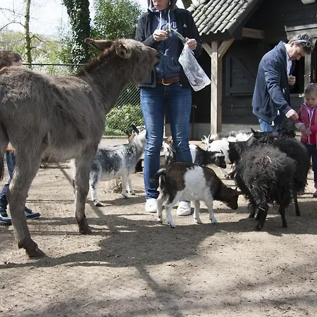 Hoeve Nijssen Bed & Breakfast