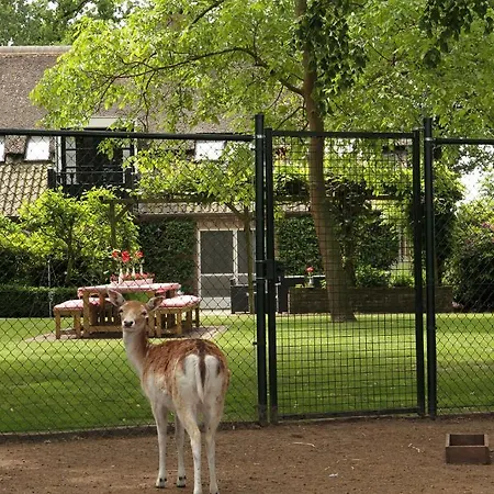 Hoeve Nijssen Bed & Breakfast Asten