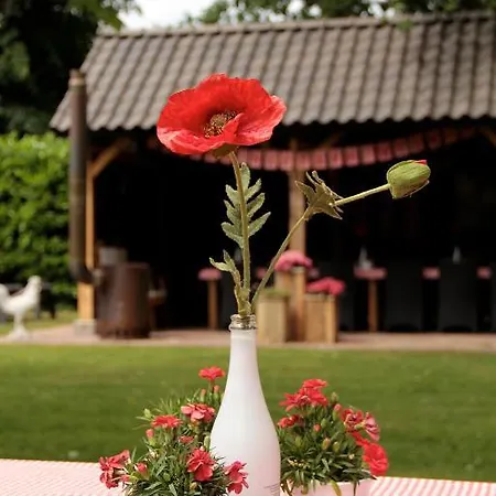 Bed & Breakfast Hoeve Nijssen Asten